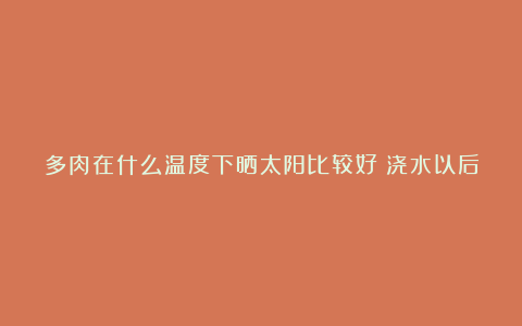 多肉在什么温度下晒太阳比较好？浇水以后可以马上晒太阳吗？