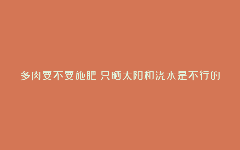 多肉要不要施肥？只晒太阳和浇水是不行的，因为它也要生长