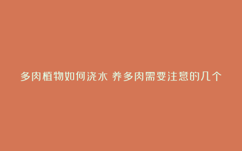 多肉植物如何浇水？养多肉需要注意的几个点，分享给你