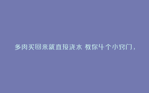 多肉买回来就直接浇水？教你4个小窍门，保证多肉成活快长势好