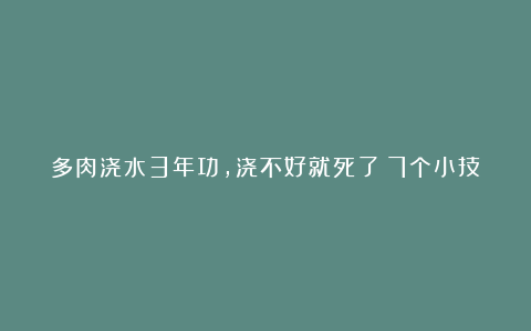 多肉浇水3年功，浇不好就死了！7个小技巧教你！