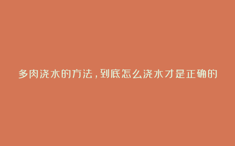 多肉浇水的方法，到底怎么浇水才是正确的？