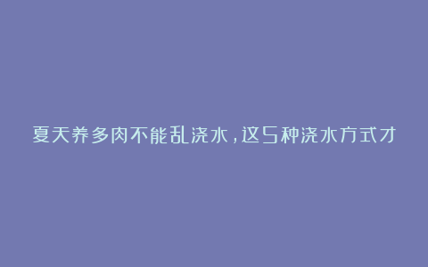 夏天养多肉不能乱浇水，这5种浇水方式才是正确的