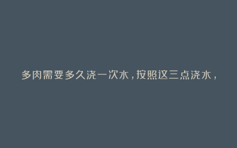 多肉需要多久浇一次水，按照这三点浇水，小白也能养好多肉