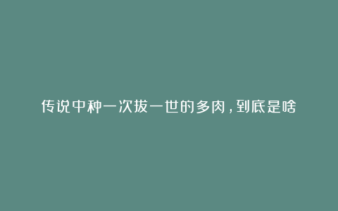 传说中种一次拔一世的多肉，到底是啥？