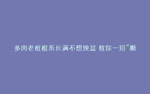 多肉老桩根系长满不想换盆？教你一招“断根法”，两个月长满新根