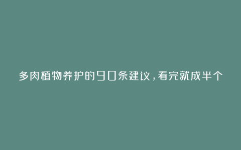 多肉植物养护的90条建议，看完就成半个达人了