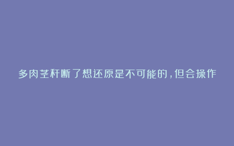 多肉茎秆断了想还原是不可能的，但会操作的话可以多得一棵多肉