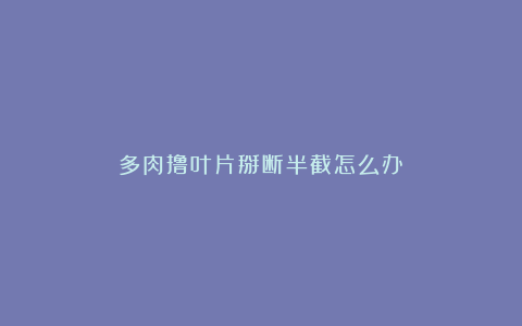 多肉撸叶片掰断半截怎么办？