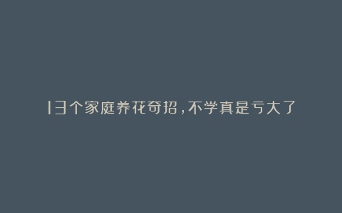 13个家庭养花奇招，不学真是亏大了