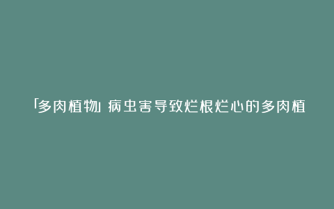 「多肉植物」病虫害导致烂根烂心的多肉植物怎么办，如何拯救？