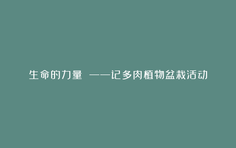 生命的力量 ——记多肉植物盆栽活动