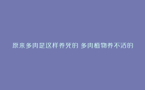 原来多肉是这样养死的！多肉植物养不活的10个小秘密