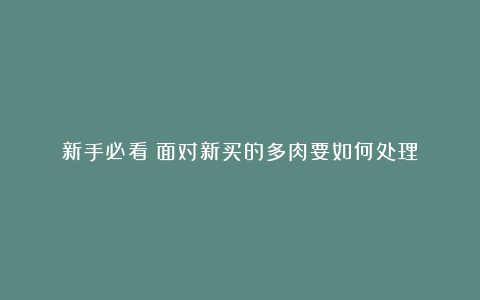 新手必看|面对新买的多肉要如何处理？