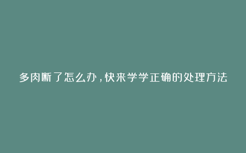 多肉断了怎么办，快来学学正确的处理方法