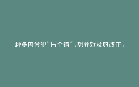 种多肉常犯“6个错”，想养好及时改正，错一个都不行