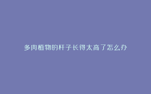 多肉植物的杆子长得太高了怎么办？