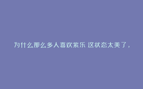 为什么那么多人喜欢紫乐？这状态太美了，多肉界颜值天花板莫过于此！