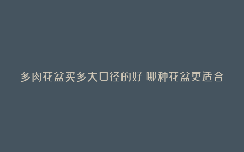 多肉花盆买多大口径的好？哪种花盆更适合种植多肉