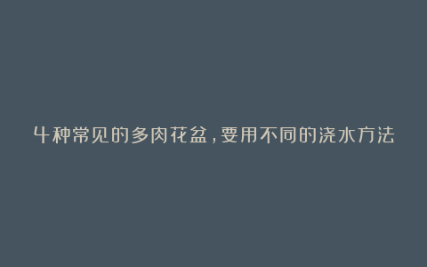 4种常见的多肉花盆，要用不同的浇水方法，才能养好多肉