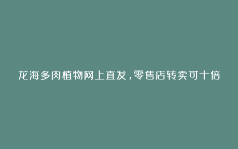 龙海多肉植物网上直发，零售店转卖可十倍获利