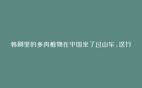 韩剧里的多肉植物在中国坐了过山车，这行水有多深？