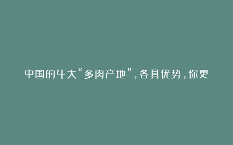 中国的4大“多肉产地”，各具优势，你更喜欢哪里的多肉？