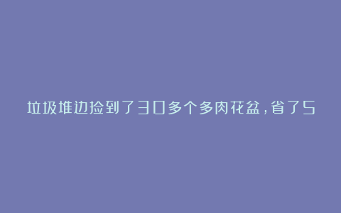 垃圾堆边捡到了30多个多肉花盆，省了500元