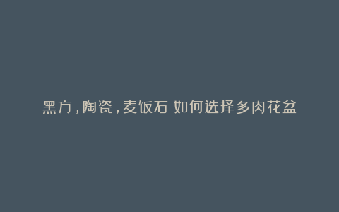 黑方，陶瓷，麦饭石？如何选择多肉花盆