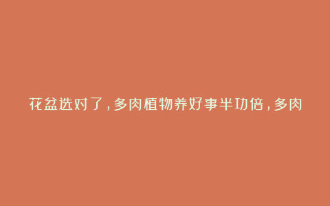 花盆选对了，多肉植物养好事半功倍，多肉状态好，花费的时间少