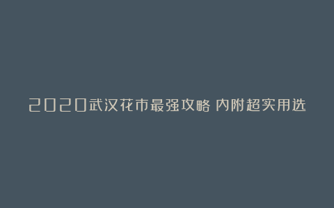 2020武汉花市最强攻略丨内附超实用选购小妙招，带娃赏逛买走起！