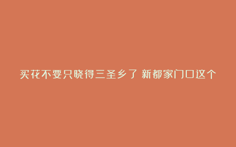 买花不要只晓得三圣乡了！新都家门口这个超大的花卉批发市场，它不香吗？