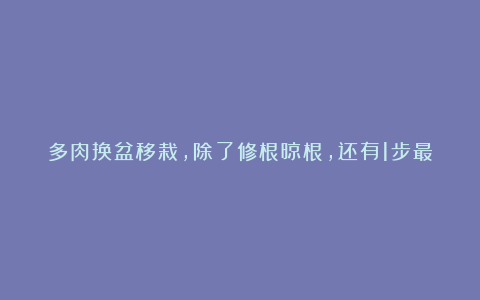 多肉换盆移栽，除了修根晾根，还有1步最关键，后期养好全靠它