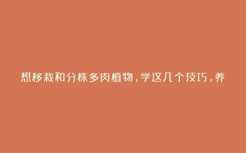 想移栽和分株多肉植物，学这几个技巧，养多久都不会烂根！