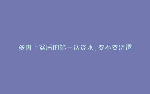 多肉上盆后的第一次浇水，要不要浇透