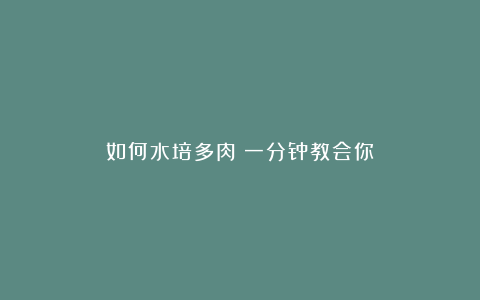 如何水培多肉？一分钟教会你