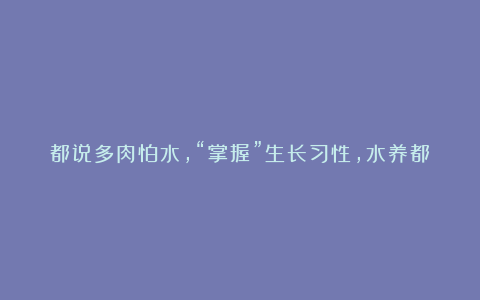 都说多肉怕水，“掌握”生长习性，水养都能成活，发根速度更快