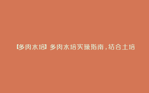 【多肉水培】多肉水培实操指南，结合土培出状态