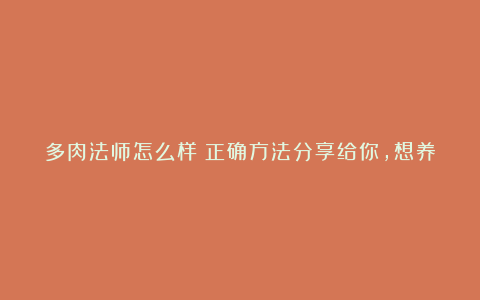 多肉法师怎么样？正确方法分享给你，想养好法师赶紧收藏