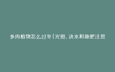 多肉植物怎么过冬(光照、浇水和施肥注意事项)