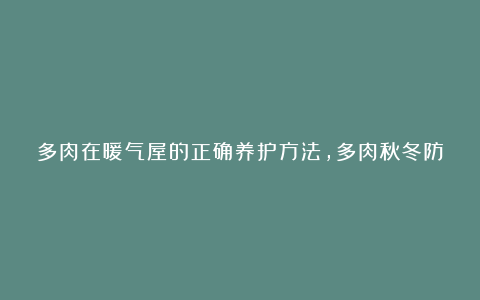 多肉在暖气屋的正确养护方法，多肉秋冬防寒方案