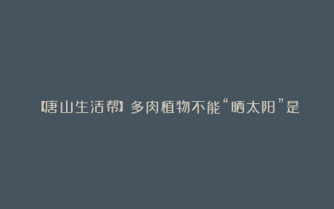 【唐山生活帮】多肉植物不能“晒太阳”是真的吗？（6月30日20:10播出）