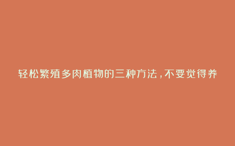 轻松繁殖多肉植物的三种方法，不要觉得养多肉有多难