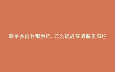 新手多肉养殖教程。怎么提高存活避免腐烂？点进来，这里最全面。