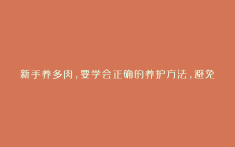 新手养多肉，要学会正确的养护方法，避免不必要的损失