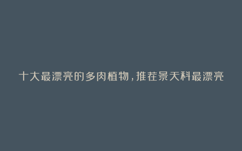 十大最漂亮的多肉植物，推荐景天科最漂亮的十款多肉植物