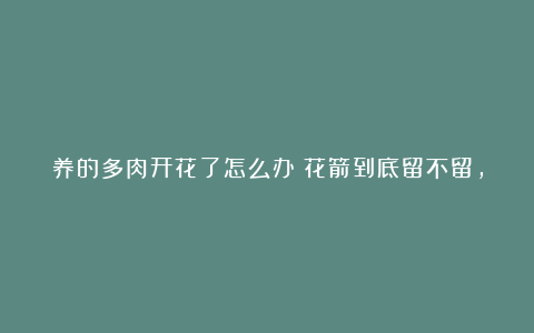 养的多肉开花了怎么办？花箭到底留不留，正确答案就在这里啦！