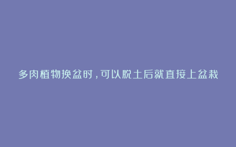 多肉植物换盆时，可以脱土后就直接上盆栽种吗？