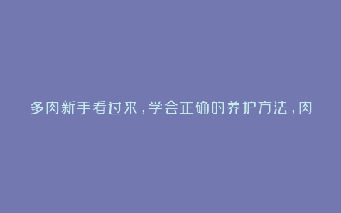 多肉新手看过来，学会正确的养护方法，肉肉状态饱满又漂亮