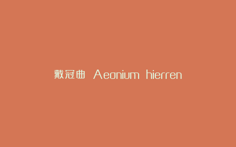 戴冠曲 Aeonium hierrense